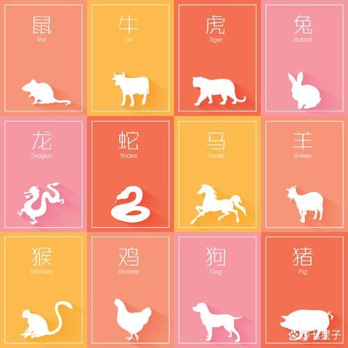 八四属什么生肖属相（84年属什么生肖？）