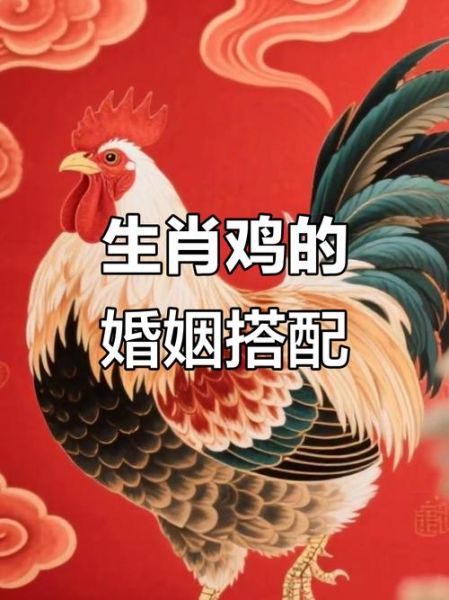 属鸡生肖配偶属相（属鸡最佳配偶属相是什么）