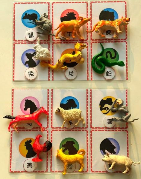 生肖属相游戏（生肖属相游戏玩法教程）