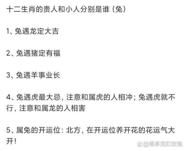 属相和什么生肖合作(属兔的人和什么生肖合作最旺财运)