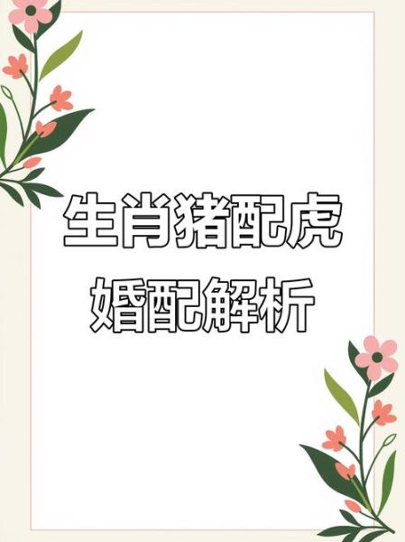 属相猪和什么生肖和（属相猪和什么生肖合）