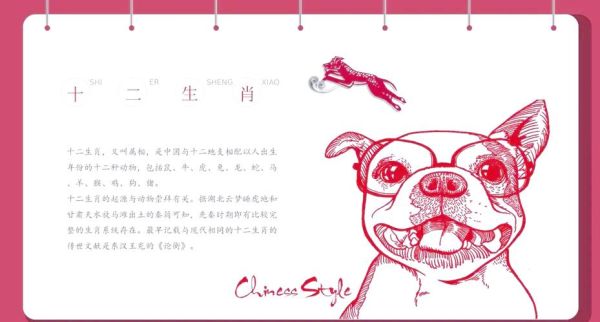 十二生肖属相小说(十二生肖属相小说的正确打开方式)