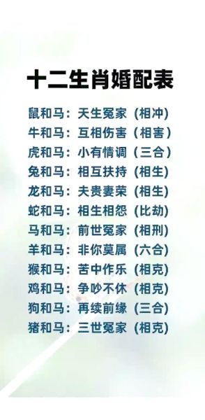 属相与马相合的生肖（属马相合生肖是哪几个？）