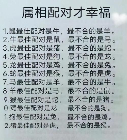 星座生肖属相（十二星座生肖配对查询新手教程）