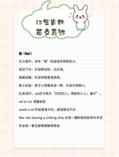 生肖属相英文(生肖属相英文怎么说最地道?)