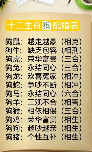 属狗配十二生肖属相（属狗和什么属相最配婚姻最好）