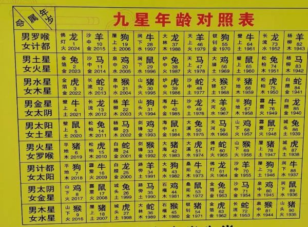 生肖属相统计（2024最新生肖属相统计表大全）