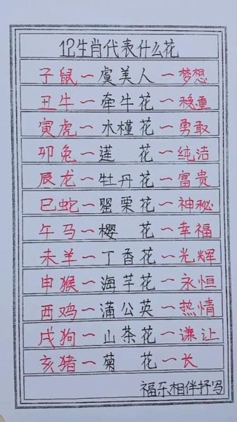 十二生肖的属相花的属相（十二生肖的属相花是什么）