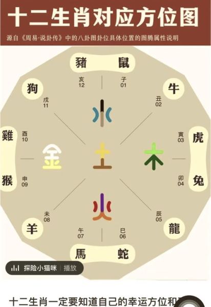 生肖和属相看哪个（生肖和属相到底看哪个🤔）