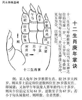 生肖属相掌诀图（生肖属相掌诀图怎么看？新手图解教学来了）