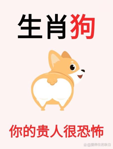 生肖狗喜事多的属相女(属狗女最近喜事连连的预兆)