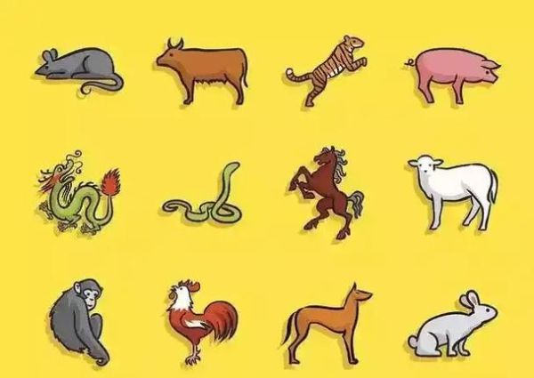 14岁属相是什么生肖（14岁属什么生肖2025）