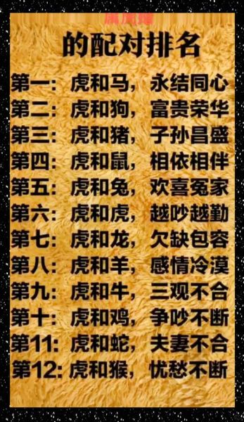 属相虎和生肖鼠（属虎和属鼠的人在一起会怎么样）