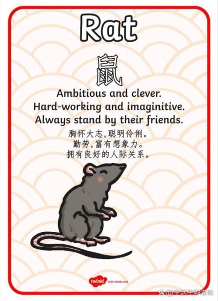 生肖属相卡套（生肖卡套定制哪个牌子好）