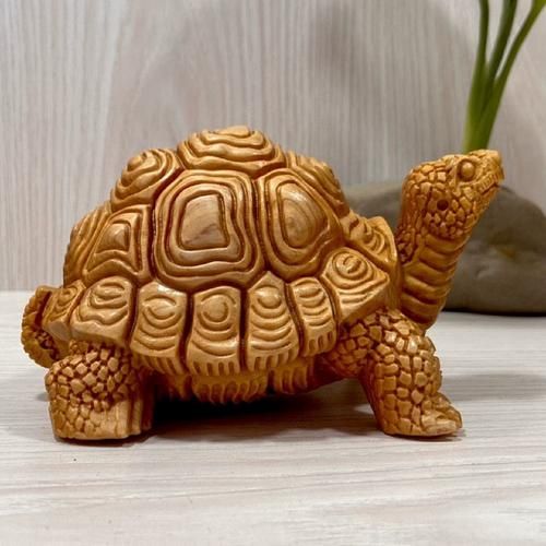 乌龟代表什么生肖属相（乌龟在生肖里属什么）