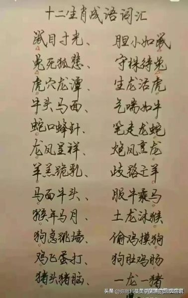 明星分析生肖属相图（明星生肖属相性格对照表👑）