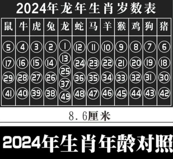 生肖属相数字图片表（生肖属相数字对照表高清图哪里找）