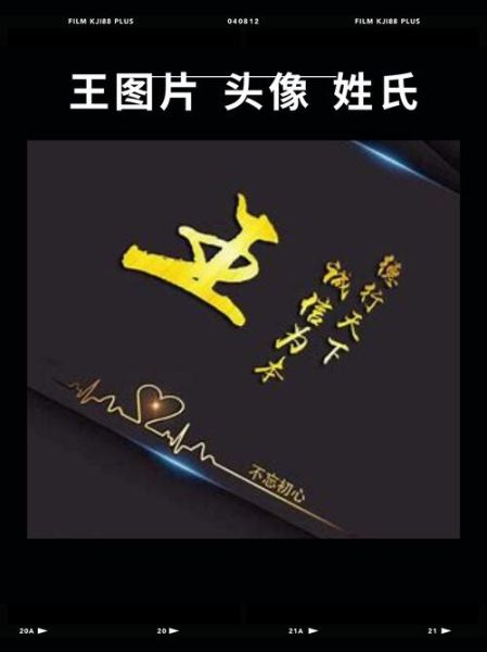 王的生肖属相（王的生肖属相是什么👑）