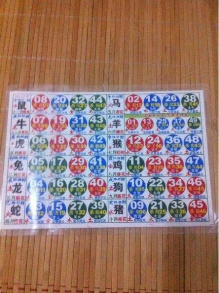 2023是什么生肖属相（2023年属什么生肖属相查询）