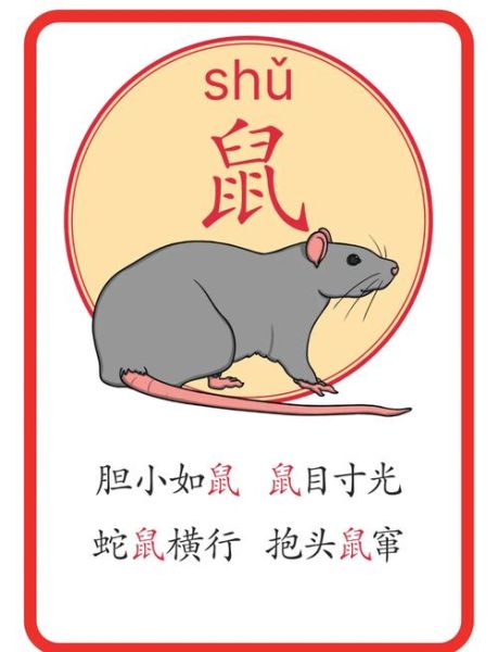 十二生肖属相成语（十二生肖属相成语最全合集）