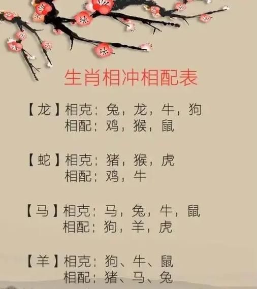 属相兔的生肖配对（属兔和什么属相最配？小白必看）