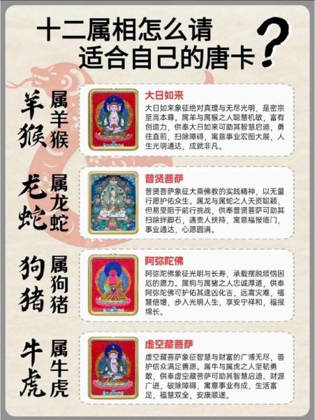 生肖卡怎么改属相（支付宝生肖卡属相修改教程）