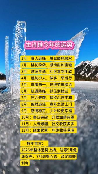 曾仕强谈生肖属相猴子（曾仕强属猴人2025运势详解）