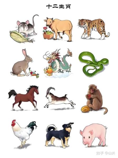 世界公认生肖属相（世界公认的12生肖是哪12种动物？）