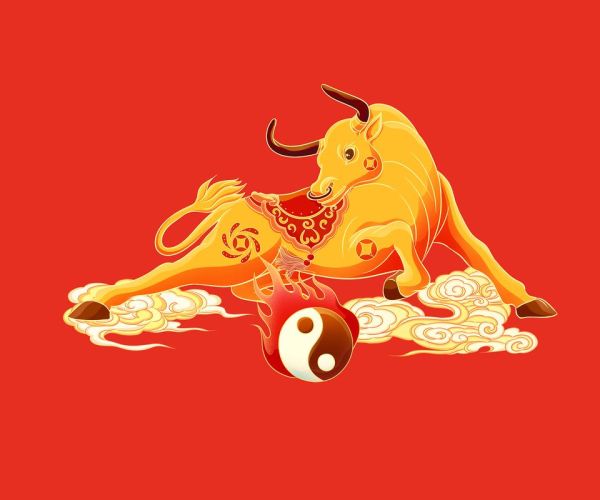 生肖好运属相有哪些图片（2024生肖好运头像大全🔥）