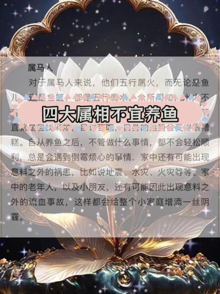 生肖属相养鱼风水数量