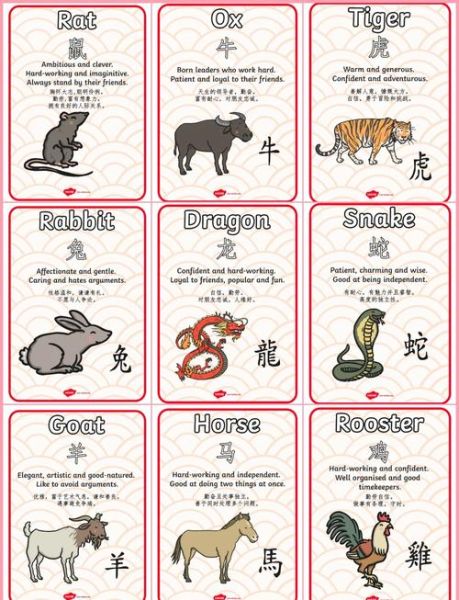 生肖卡12属相（生肖卡12属相怎么用最全攻略）