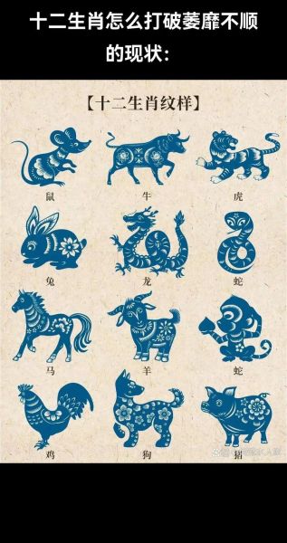 初九属相是什么生肖（初九属相是什么生肖🐭🧧）