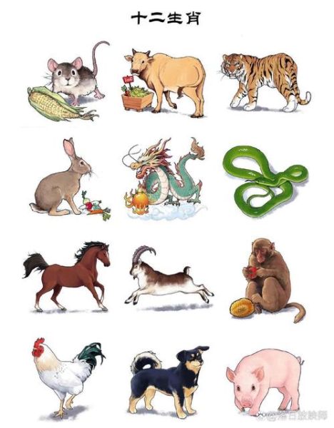 初九属相是什么生肖（初九属相是什么生肖🐭🧧）