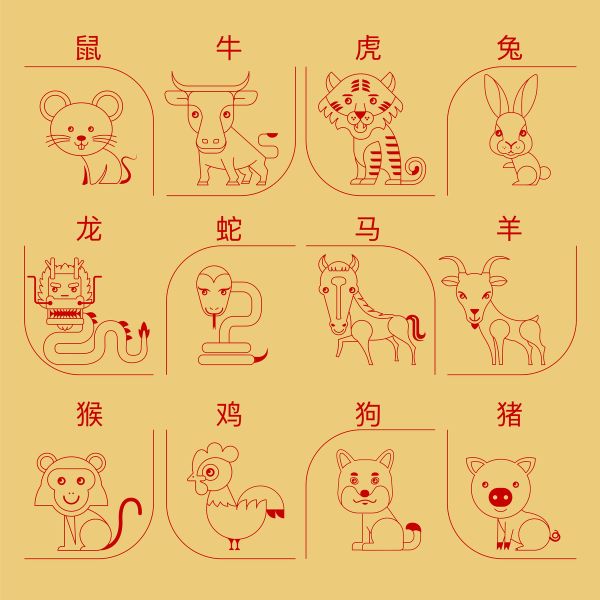 初九属相是什么生肖（初九属相是什么生肖🐭🧧）