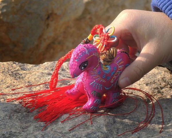 一匹黑马属相什么生肖（一匹黑马属什么生肖答案揭晓）