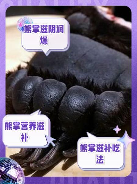 熊掌属相是什么生肖动物（熊掌属什么生肖？新手一看就懂）