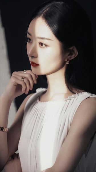 各大女明星生肖属相（赵丽颖的生肖和星座揭秘✨）