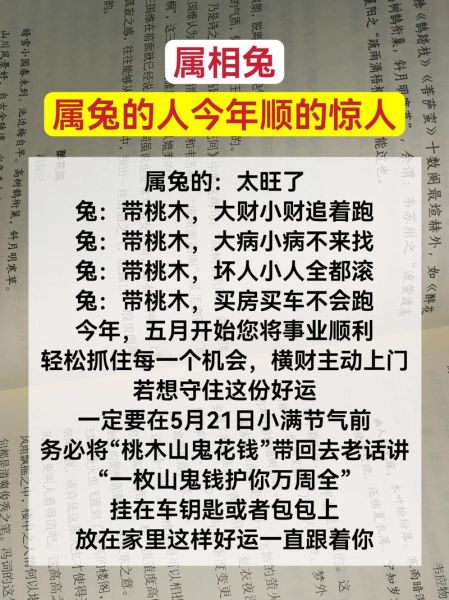 属相生肖偏财运最好（2024年属兔人偏财运暴涨是真的吗）