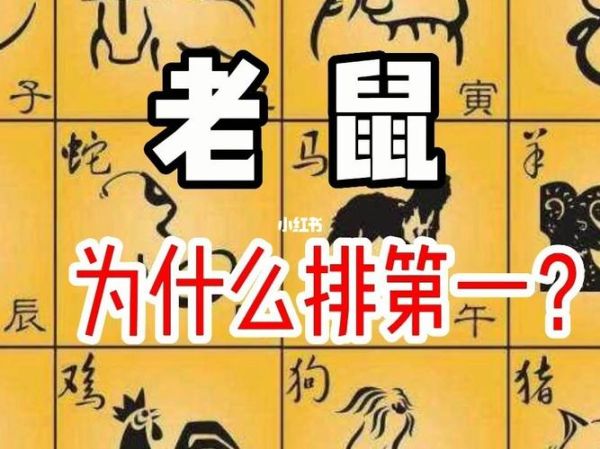 十二生肖属相的排列（十二生肖排序为什么是鼠开头）