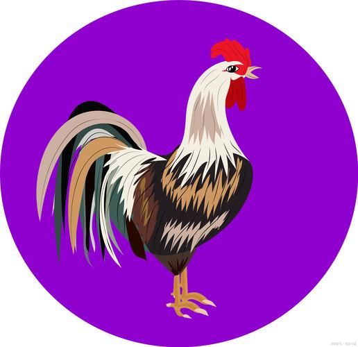 虎属相适合什么动物生肖(虎属相和什么生肖最好?)