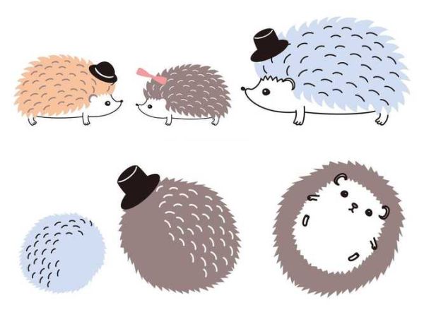 属狗女人的生肖配对属相（属狗女和什么属相最配）