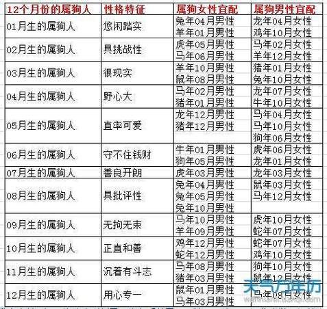 狗生肖适配属相(属狗人最佳婚配属相)