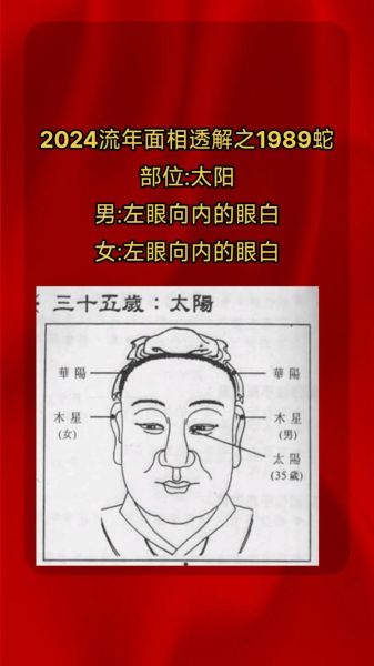 生肖属相面相（什么生肖面相最富贵？）