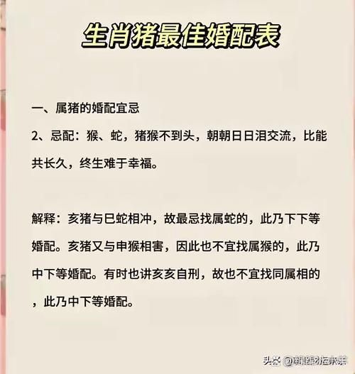 猪婚姻最佳生肖属相（属猪最佳配偶属相揭晓）