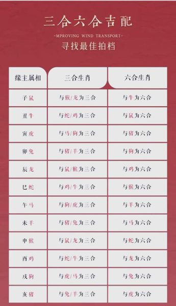 生肖属相相合（生肖属相相合到底看哪几点）