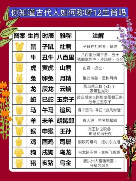 怎么知道自己生肖属相（怎么知道自己属什么生肖一看就懂）