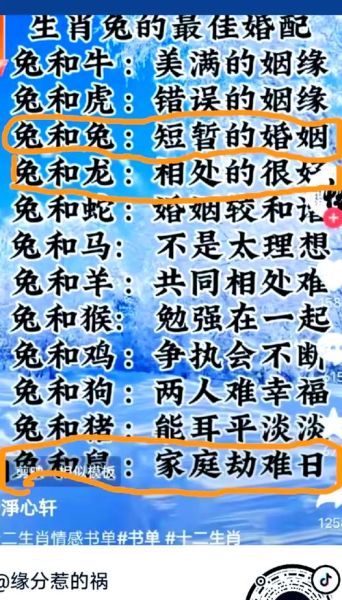 兔子般配生肖属相好吗