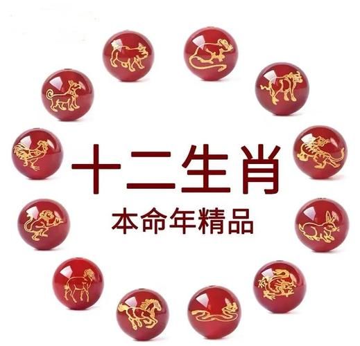 十二生肖时辰属相的解析（十二生肖时辰对应的属相是啥😺🔍）