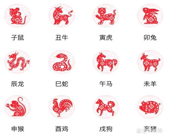 1951是什么生肖属相（1951年属什么生肖）