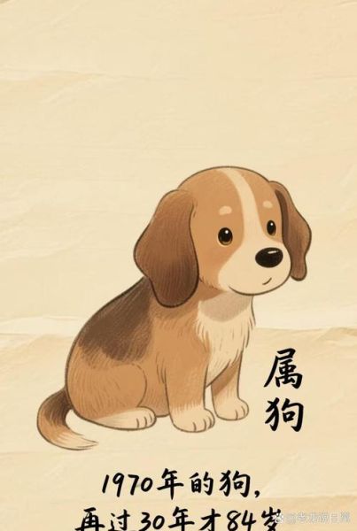 70年生属什么生肖属相（1970年属狗的今年多大）